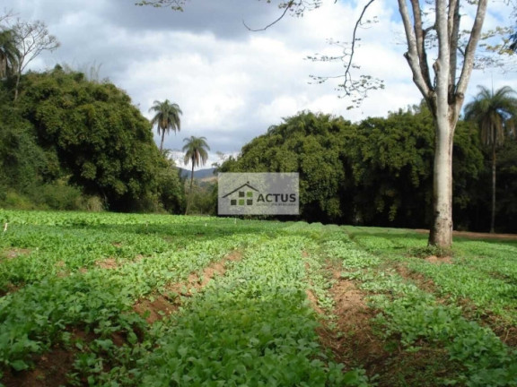 Imagem Chácara à Venda, 20.000 m² em Campo Verde - Mário Campos