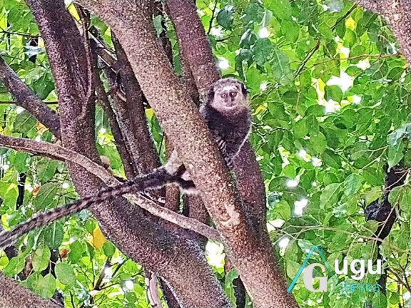 Imagem Apartamento com 3 Quartos à Venda, 65 m² em Ipiranga - Guarapari