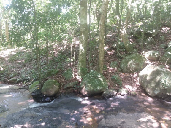 Imagem Imóvel à Venda, 7.700 m² em Voluntária Baixa - Igrejinha Imagem Imóvel à Venda, 7.700 m² em Voluntária Baixa - Igrejinha