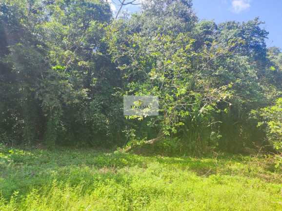 Imagem Terreno à Venda, 50.000 m² em Maresias - São Sebastião Imagem Terreno à Venda, 50.000 m² em Maresias - São Sebastião