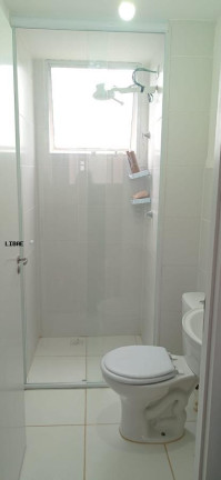 Imagem Apartamento com 2 Quartos para Alugar, 39 m² em Jardim Palos Verdes - Botucatu Imagem Apartamento com 2 Quartos para Alugar, 39 m² em Jardim Palos Verdes - Botucatu