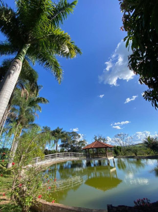 Imagem Chácara com 4 Quartos à Venda, 160.000 m² em Garavelo - Abadia De Goiás