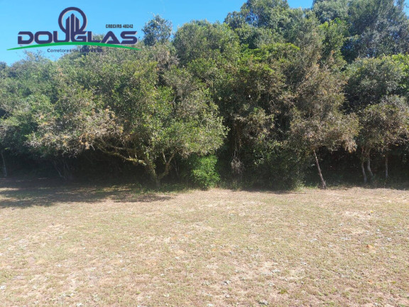 Imagem Chácara com 2 Quartos à Venda, 11.000 m² em Viamão