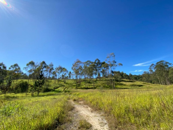 Imagem Terreno à Venda, 320.000 m² em Terra Preta (terra Preta) - Mairiporã Imagem Terreno à Venda, 320.000 m² em Terra Preta (terra Preta) - Mairiporã