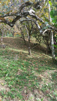 Imagem Casa com 4 Quartos à Venda, 15 m² em Amparo - Nova Friburgo