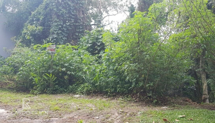 Terreno à Venda, 2.000 m² em Centro - Mairiporã