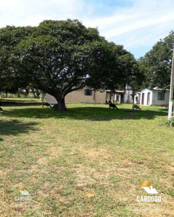 Imagem Fazenda à Venda, 20.000 m² em águas Claras - Viamão Imagem Fazenda à Venda, 20.000 m² em águas Claras - Viamão