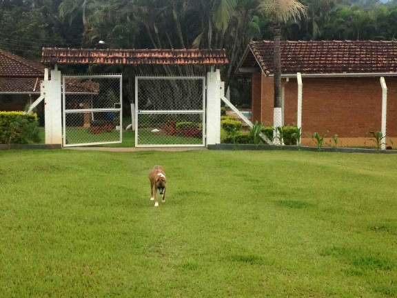 Imagem Chácara com 4 Quartos à Venda, 70.000 m² em Pedra Rachada - São João Da Boa Vista Imagem Chácara com 4 Quartos à Venda, 70.000 m² em Pedra Rachada - São João Da Boa Vista