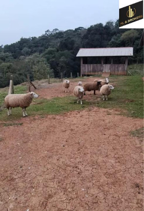 Imagem Imóvel com 4 Quartos à Venda, 46.000 m² em Freguesia Dos Laras - Campo Magro Imagem Imóvel com 4 Quartos à Venda, 46.000 m² em Freguesia Dos Laras - Campo Magro
