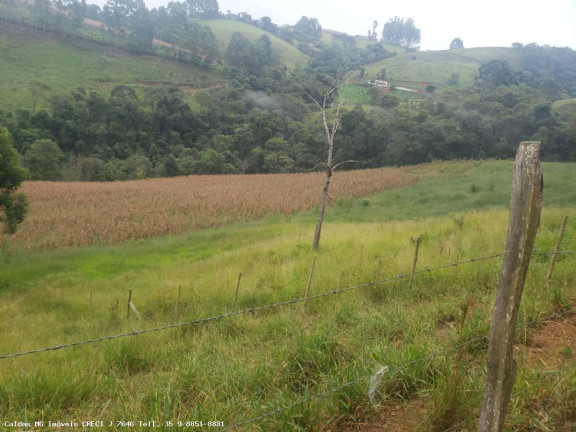Imagem Chácara à Venda, 5 m² em Taquari - Caldas Imagem Chácara à Venda, 5 m² em Taquari - Caldas
