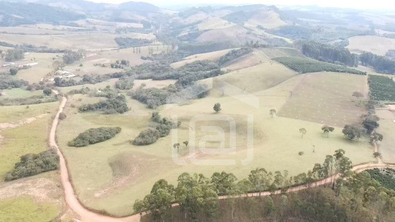 Imagem Imóvel com 2 Quartos à Venda, 29 m² em Pessegueiros - Campestre Imagem Imóvel com 2 Quartos à Venda, 29 m² em Pessegueiros - Campestre