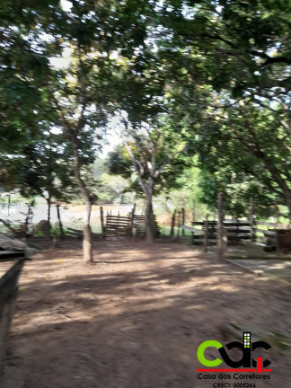 Imagem Imóvel com 3 Quartos à Venda, 24.000 m² em área Rural De Varginha - Varginha