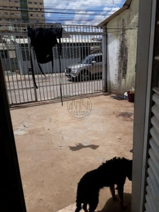 Imagem Casa com 2 Quartos à Venda, 100 m² em Samambaia Sul (samambaia) - Brasília Imagem Casa com 2 Quartos à Venda, 100 m² em Samambaia Sul (samambaia) - Brasília