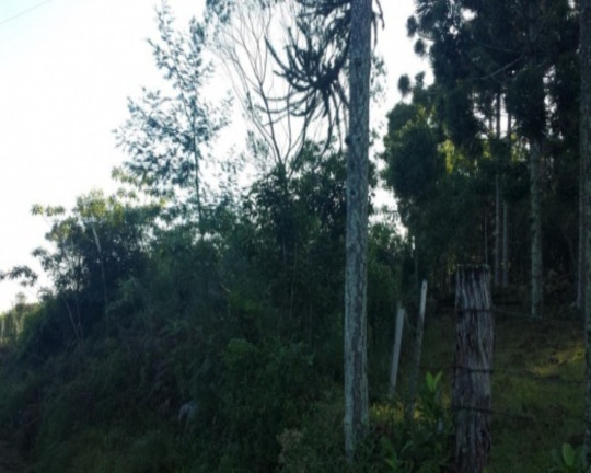 Imagem Terreno à Venda, 1 m² em São Jacó - Nova Petrópolis Imagem Terreno à Venda, 1 m² em São Jacó - Nova Petrópolis