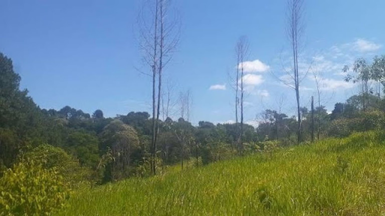 Imagem Terreno à Venda, 3.000 m² em Loteamento Rancho Maringá I - Atibaia Imagem Terreno à Venda, 3.000 m² em Loteamento Rancho Maringá I - Atibaia