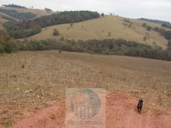 Imagem Imóvel à Venda, 96.800 m² em Zona Rural - Jacui