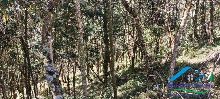 Imagem Chácara à Venda, 100 m² em Centro - Gonçalves