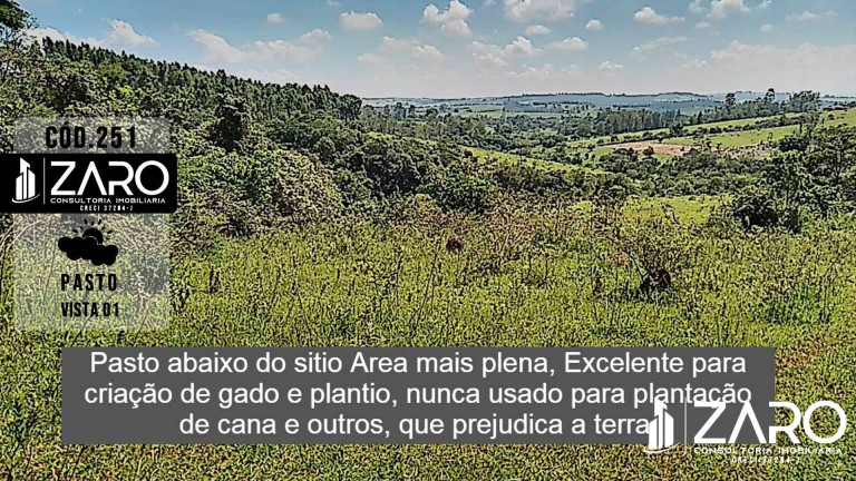 Imagem Chácara com 2 Quartos à Venda, 3 m² em Itapé - Rio Claro Imagem Chácara com 2 Quartos à Venda, 3 m² em Itapé - Rio Claro