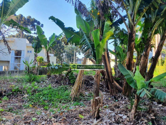 Imagem Terreno à Venda, 1.111 m² em Orleans - Curitiba Imagem Terreno à Venda, 1.111 m² em Orleans - Curitiba