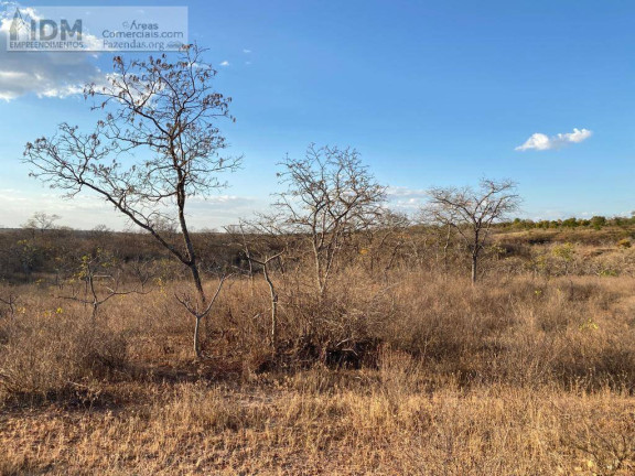 Imagem Chácara à Venda, 49.500.000 m² em Centro - Buritizeiro