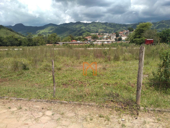Imagem Terreno à Venda, 250 m² em Centro - Piranguçu