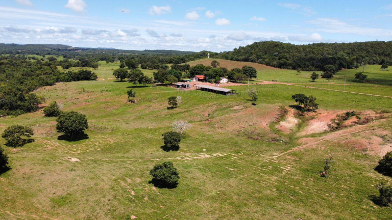 Imagem Fazenda à Venda, 787 m² em Nova Xavantina Imagem Fazenda à Venda, 787 m² em Nova Xavantina