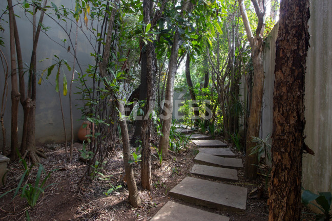 Imagem Sobrado com 4 Quartos à Venda, 679 m² em Cidade Jardim - São Paulo Imagem Sobrado com 4 Quartos à Venda, 679 m² em Cidade Jardim - São Paulo