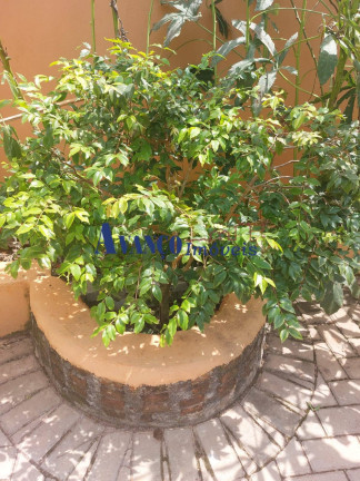 Imagem Casa com 1 Quarto à Venda, 300 m² em Roseira - Jundiaí