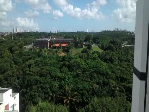 Imagem Apartamento com 2 Quartos à Venda, 65 m² em Imbuí - Salvador Imagem Apartamento com 2 Quartos à Venda, 65 m² em Imbuí - Salvador