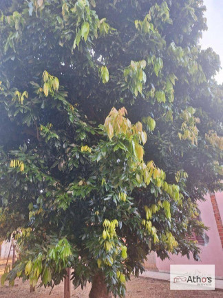 Imagem Terreno à Venda, 250 m² em Jardim Regina - Indaiatuba Imagem Terreno à Venda, 250 m² em Jardim Regina - Indaiatuba