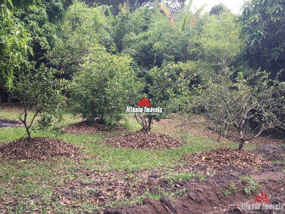 Imagem Imóvel com 3 Quartos à Venda, 370 m² em Chácaras Campo Limpo - Campo Limpo Paulista Imagem Imóvel com 3 Quartos à Venda, 370 m² em Chácaras Campo Limpo - Campo Limpo Paulista