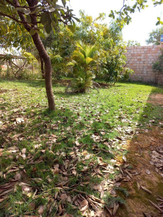 Imagem Imóvel com 4 Quartos à Venda, 1.000 m² em área Rural De Curvelo - Curvelo Imagem Imóvel com 4 Quartos à Venda, 1.000 m² em área Rural De Curvelo - Curvelo