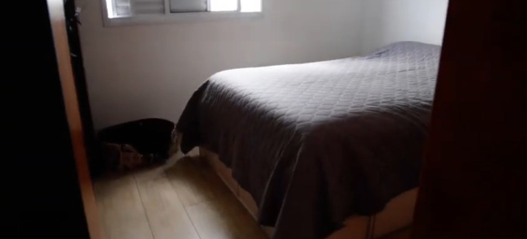 Imagem Apartamento com 2 Quartos à Venda, 86 m² em Vila Firmiano Pinto - São Paulo Imagem Apartamento com 2 Quartos à Venda, 86 m² em Vila Firmiano Pinto - São Paulo