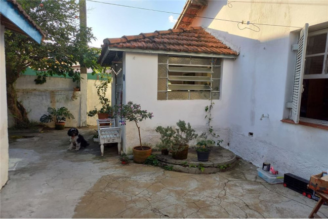 Imagem Casa com 8 Quartos à Venda, 408 m² em Vila Sônia - São Paulo