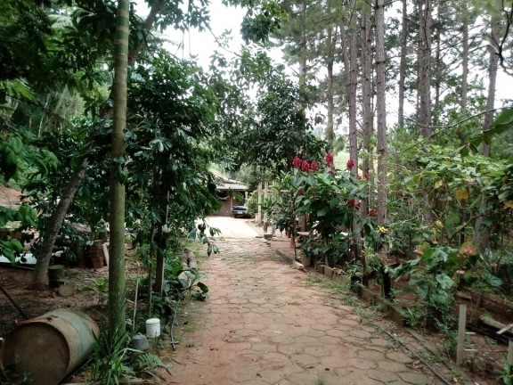 Imagem Chácara com 2 Quartos à Venda, 2.510 m² em Terra Preta - Mairiporã Imagem Chácara com 2 Quartos à Venda, 2.510 m² em Terra Preta - Mairiporã