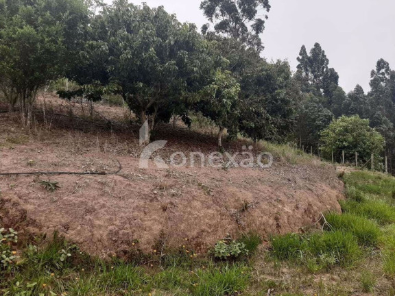 Imagem Chácara com 2 Quartos à Venda, 200 m² em Macaco - Paraibuna Imagem Chácara com 2 Quartos à Venda, 200 m² em Macaco - Paraibuna