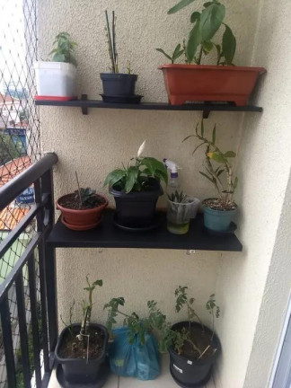 Imagem Apartamento com 2 Quartos à Venda, 50 m² em Itaquera - São Paulo