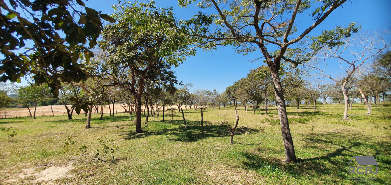 Imagem Terreno à Venda, em Tropeiros - Esmeraldas Imagem Terreno à Venda, em Tropeiros - Esmeraldas
