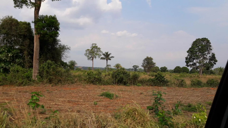 Imagem Fazenda à Venda, 242 m² em Zona Rural - Itaúba Imagem Fazenda à Venda, 242 m² em Zona Rural - Itaúba