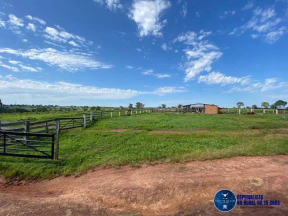 Imagem Fazenda à Venda, 121 m² em Zona Rural - Torixoréu Imagem Fazenda à Venda, 121 m² em Zona Rural - Torixoréu