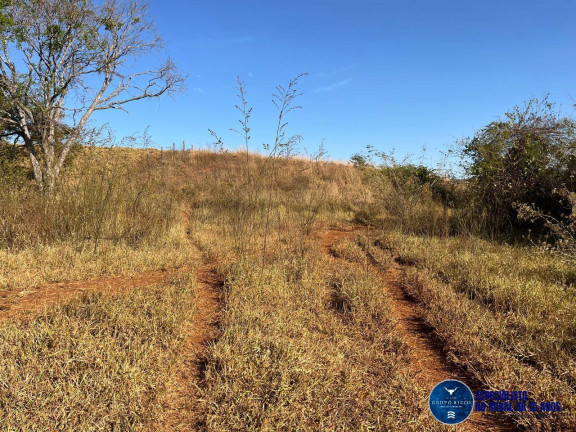 Imagem Chácara à Venda, 3 m² em Zona Rural - Taquaral De Goiás Imagem Chácara à Venda, 3 m² em Zona Rural - Taquaral De Goiás