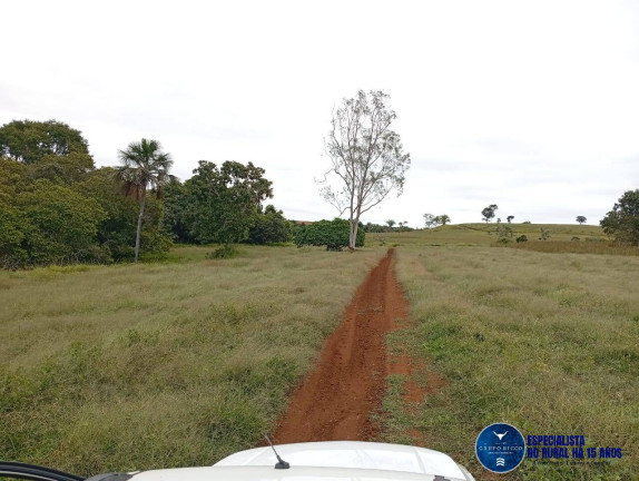 Imagem Fazenda à Venda, 33 m² em Zona Rural - Caiapônia Imagem Fazenda à Venda, 33 m² em Zona Rural - Caiapônia