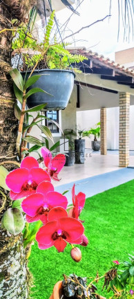 Imagem Casa com 2 Quartos à Venda,  em Armação - Penha