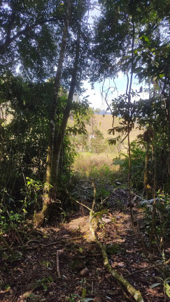 Imagem Imóvel à Venda,  em Arataca São João Batista Sc - São João Batista