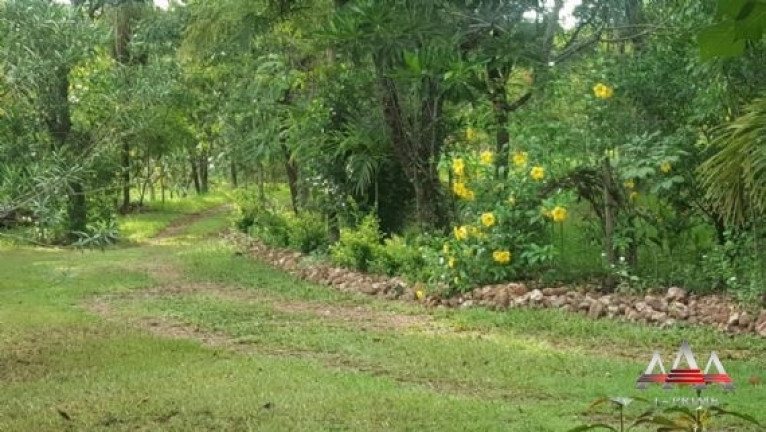 Imagem Chácara com 3 Quartos à Venda, 30.604 m² em Bandeira 2 - Chapada Dos Guimarães Imagem Chácara com 3 Quartos à Venda, 30.604 m² em Bandeira 2 - Chapada Dos Guimarães