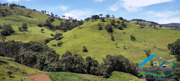 Imagem Chácara à Venda, 24 m² em Centro - Paraisópolis