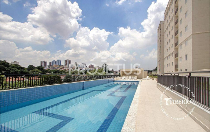 Imagem Apartamento com 2 Quartos à Venda, 54 m² em Jardim Monte Kemel - São Paulo Imagem Apartamento com 2 Quartos à Venda, 54 m² em Jardim Monte Kemel - São Paulo