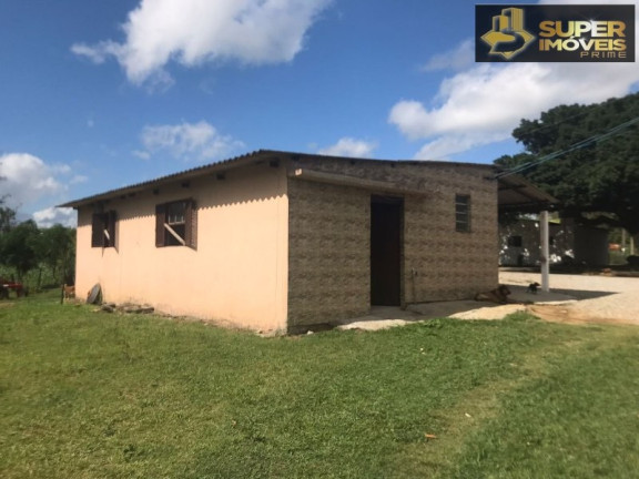 Imagem Imóvel com 7 Quartos à Venda, 120.000 m² em Monte Bonito - Pelotas Imagem Imóvel com 7 Quartos à Venda, 120.000 m² em Monte Bonito - Pelotas