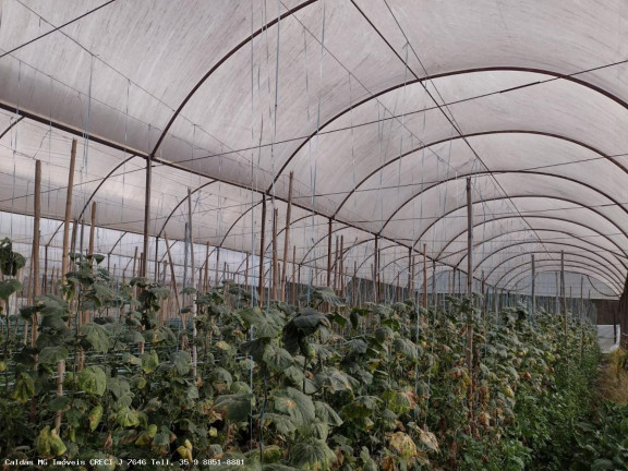 Imagem Chácara com 8 Quartos à Venda, 21.000 m² em Zona Rural - Caldas Imagem Chácara com 8 Quartos à Venda, 21.000 m² em Zona Rural - Caldas