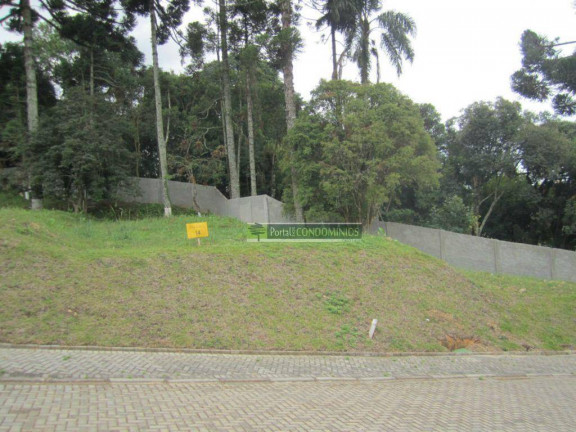 Imagem Terreno à Venda, 605 m² em Campo Comprido - Curitiba